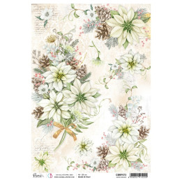 copy of 